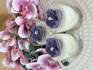 Magnolia